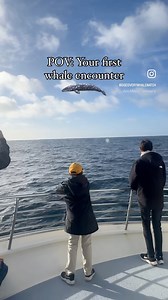 POV: watching something bigger than ourselves in an ocean that is so vast and full of wonder. From today’s afternoon whale watch. Trips go out daily, come sea for yourself 🌊 . . #graywhales #montereybay #whalewatching #wildlifephotography #whales #centralcalifornia | Discovery Whale Watch