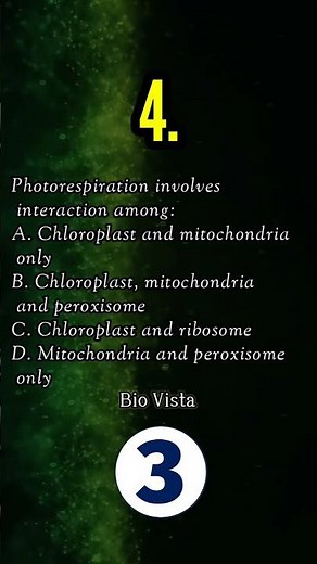5 Important Questions on Photosynthesis in Higher Plants | Class 11 Biology | NEET