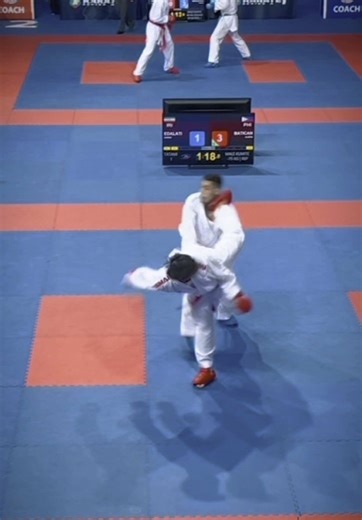 Alwyn Batican (@alwynthisgame) - Mastering Kumite Techniques in Karate