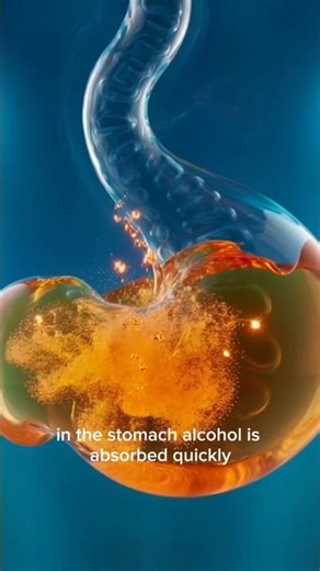 Beer Peene Se Body Ke Andar Kya Hota Ha۔i3D Medical Animation#health #shorts