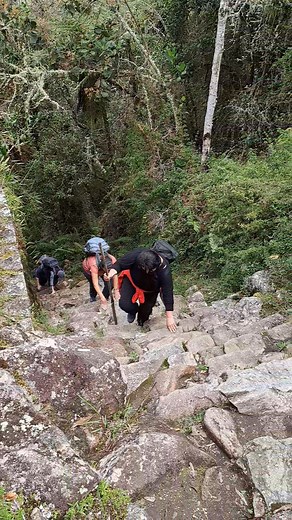 4.8K views · 88 reactions | Hiking the short or classic Inca Trail, travelers go throught the Monkey steps, which is located before the popular Sungate of the Incas and many people probably remimber this section of the hike to Machu Picchu. | Chris Condori Huanca | Facebook