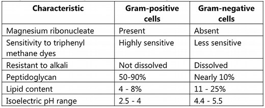 Gram Staining: Principle, Theories, Procedure and Examples - Biology Ease