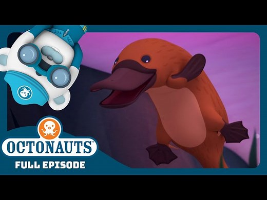 @Octonauts - 🌊 The Duck-Billed Platypus 🦆 | Season 3 | Full Episode | Cartoons for Kids - Videos For Kids