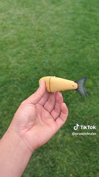 Had a crack at a glide bait. here it is. #glidebait #swimbait #luremaking #handmadelure #timberlure #lure #fishing #fishtok #mangrovejack #mullet