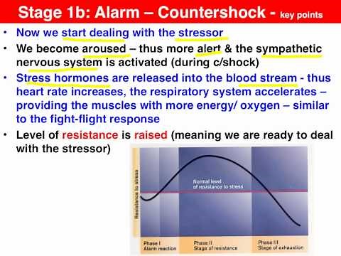 Selye's GAS model - Psychology