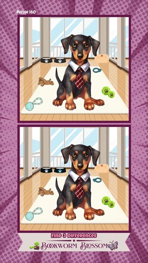 Spot The 3 Differences | Puppy Gentleman | Gifts For Pets #petlovers #doglovers #pamperedpets