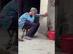 perro gigante defiende a su dueña (ABUELA)