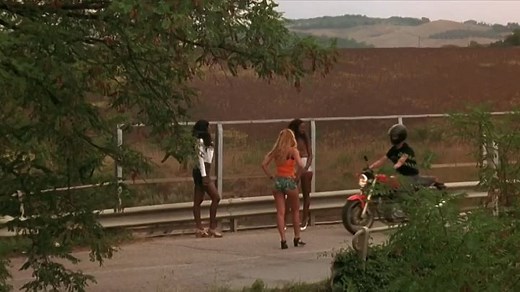 1996-Stealing Beauty