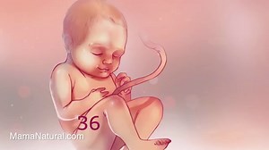 Pregnancy Week-by-Weeks Archive