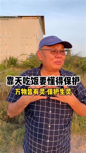 huiching on Instagram: "就算靠天吃饭也要懂得保护🥹👍🏻 #爸爸 #靠天 #保护动物 #柬埔寨 #小鲜炖birdnest #浓缩燕窝 #马来西亚 #东南亚"