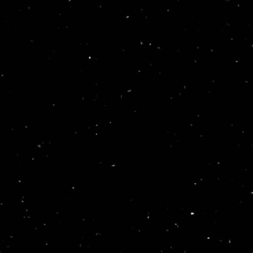 tô namorando uma mulher...#piscopata #tokyorevengers #fypシ #vaiprofyinferno👺🔪 #TikTokBeleza #anime #foryou #fypシ゚viral #kazutorahanemiya