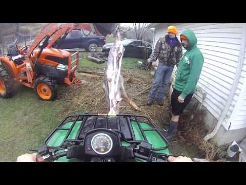 Whitetail Deer Skinning: The easy technique
