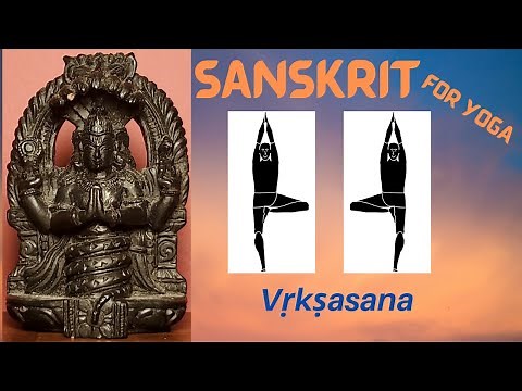 Vṛkṣasana – tree pose. Learn to pronounce the Sanskrit names for yoga poses.