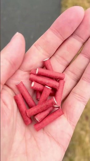 Nuclear snaps by Raccoon fireworks loudest I’ve heard￼