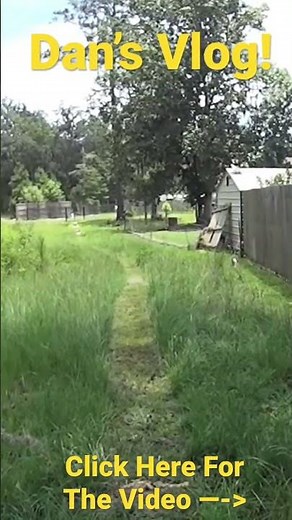 How To Cut Very Tall Grass with a Basic Small Push Lawn Mower