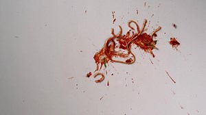 593K views · 276 reactions | Paint that stays put, even if you need...