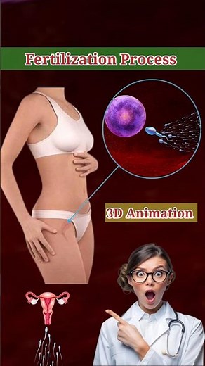 Fertilization Process in 3D Animation #fertilization #fertilityjourney #animation #anatomy