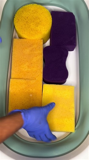 Sponge Squeezing ASMR: Squeaks & Suds Sponge Play Video