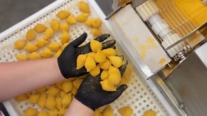 Encrusting Machine Maqturbo 5.5 + Dough Mixer 11lb - Industrial Commercial Machine, Snack Maker - Standardized Sizing and Shaping, Pro Kitchens Standards - Stainless Steel