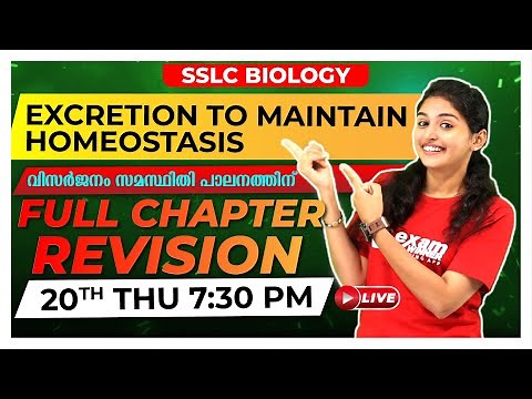 Class 9 Biology | Excretion to Maintain Homeostasis | Full Chapter Revision | Exam Winner