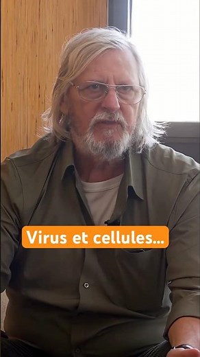 Virus et cellules…