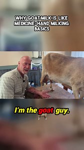 I’m the Goat Guy — and if you’re thinking about getting into goats for dairy, I’m here to show you how to hand milk the right way. 🐐🥛 This process not only keeps your milk clean, but it keeps your does happy and healthy. It’s not hard — it’s just learned. Let me show you how. 👊 #GoatGuy #GoatMilking #HomesteadLife #GoatMilk #FarmTips #HandMilking #BackyardDairy | packgoats.com