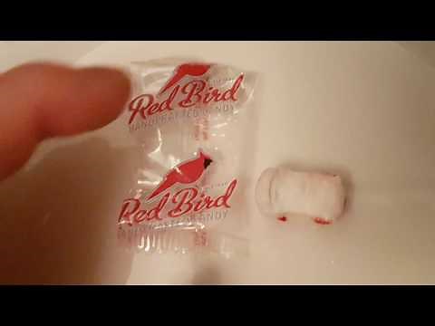 Yummy🍭Red Bird, hand crafted candy!