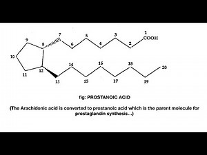Prostaglandin Synthesis