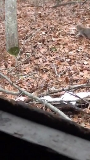 Tim Keyes on Reels | Facebook