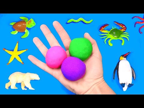 Educational Fish and Sea Animals for Kids and Toddlers
