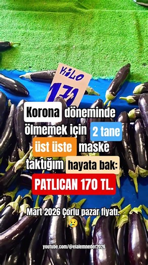 hayata bak. PATLICAN 170 TL . #patlıcan #pazarfiyatları #hayat #çorlu #pazar #pahalılık #ironi
