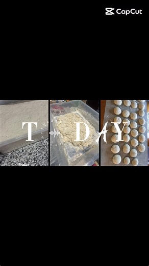 Just nother sourdough gal on TikTok