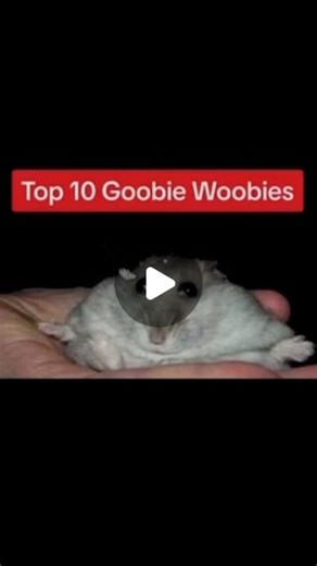 Top 10 Goobie Woobies on Instagram