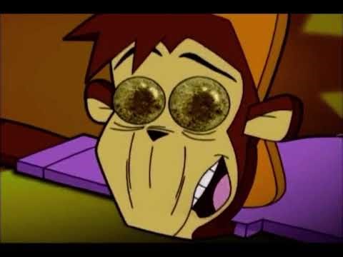 Kellogg's Coco Pops World Cup - Shakedown (2002, Australia)