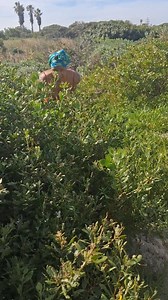 4.8K views · 48 reactions | When they say mind your own business #reels #funny #virals | Mai Theresa | Facebook