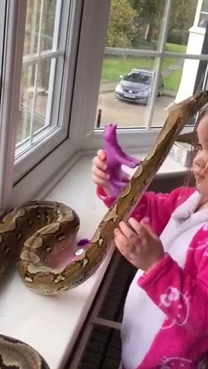 Une fillette donne un câlin à un python de 8 pieds