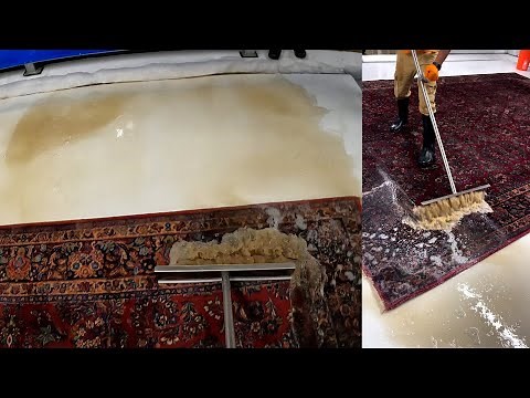 How to clean an Extremely Dirty Karastan Wool Rug || P.O.V Rug Cleaning Atlanta & nearby cities