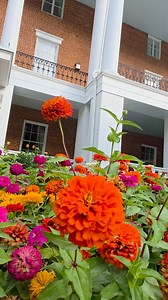 1.6K views · 101 reactions | The Life of a Historic Hotel 李 | Omni Bedford Springs Resort & Spa | Facebook