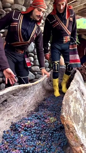 The Qvevri wine-making technique is a cherished Georgian tradition, predominantly used in villages that cultivate unique grape varieties. This method involves using a clay vessel, known as a Qvevri, to make, age, and store the wine. Skills are passed down within families during community harvests, where grapes are pressed and then fermented in Qvevris buried for several months. This technique is widespread among Georgians, for whom wine plays a central role in daily life and celebrations. The tr