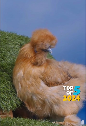 Mittens & Pants on TikTok