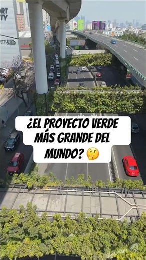 The world's LARGEST vertical garden. 🤯 #travel #curious #architecture