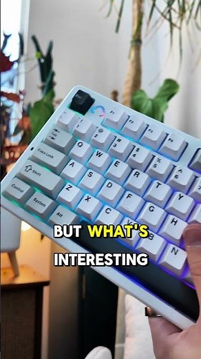 This $100 Keyboard is INSANE #customkeyboard #keyboard #budgetkeyboard
