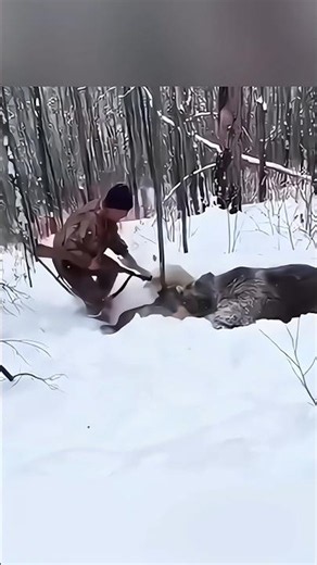 Massive Black Bear Hunt in Deep Snow with My Loyal Dogs | Safe & Clean Hunt#challenge#bear#hunting#
