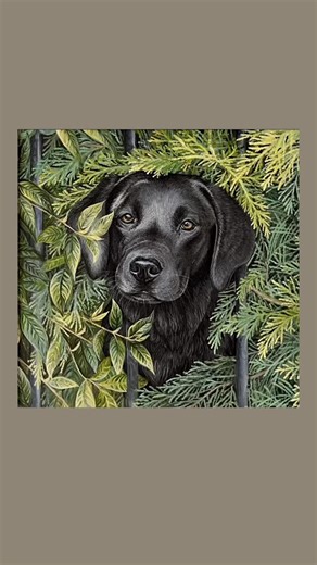 Vicky Helen Tucker on Instagram: "A little late… but no less full of love 🐾 Celebrating National Labrador Day by sharing a few of my Labrador paintings and sketches, each one so different, capturing that big heart, gentle soul and individual personality. What’s not to love about a breed like this? 💛 Spread some Labrador love, share this post and send me a picture of your lovely lab! #labradorlove #labradorsoﬁnstagram #labradorlife #labradorretriever #labloversofinstagram"