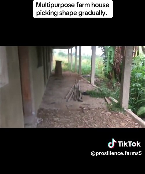 Farming Innovations at Asuboi: A Modern Farmhouse