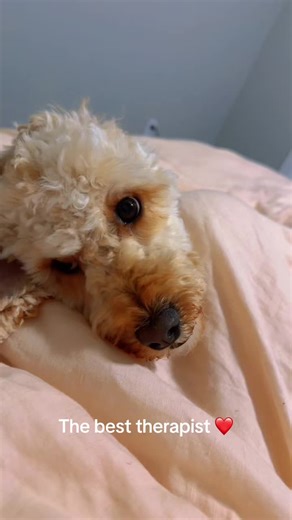 _cocolily2 on TikTok