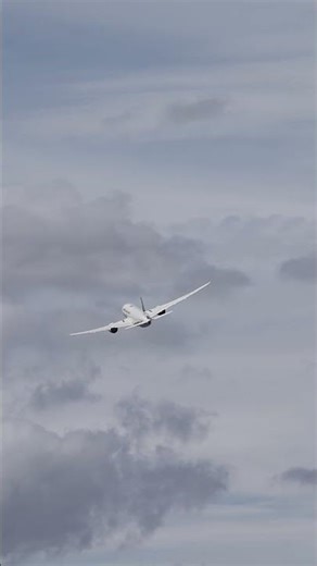 【伊丹空港】ANAボーイング787 離陸！曇天の空へ力強くテイクオフ