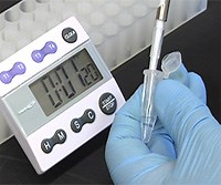 Enzyme Assays to Study Enzyme Activity and Kinetics