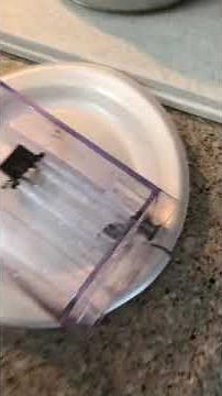 Fun day kidzz Cuisinart SS15 coffee maker reservoir leak