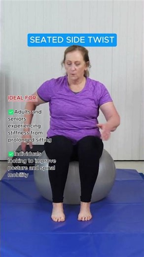 Seated Side Twist Exercise